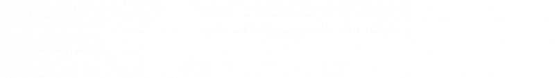 Logo BLUEPIM