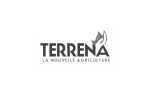 TERRENA