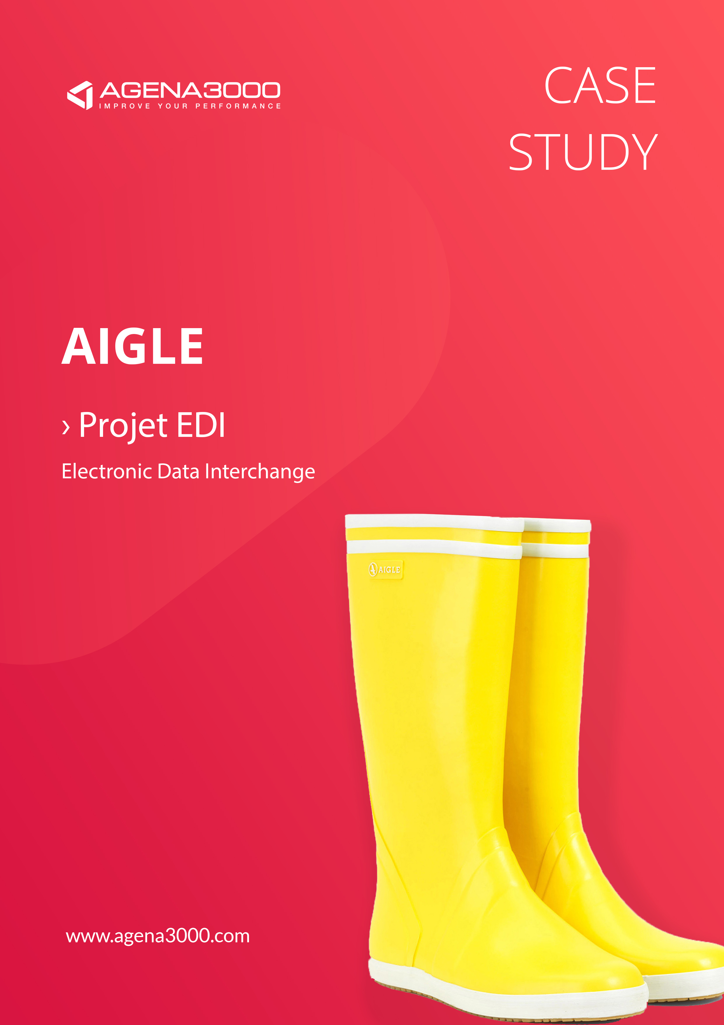 Case study EDI - Aigle
