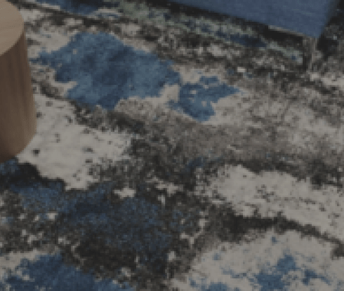 Lanart Rug : projet EDI